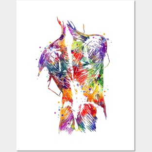 Human Back With Muscles Colorful Watercolor Gift Posters and Art